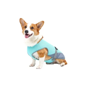 A good thing Pet Clothing