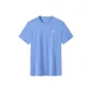 Blue Gray