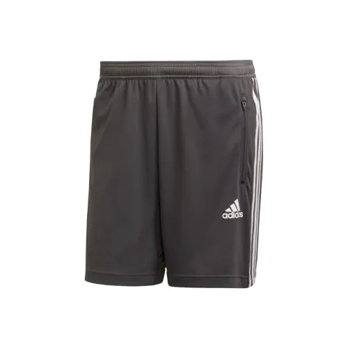 Adidas Designed To Move 3 Stripes Shorts