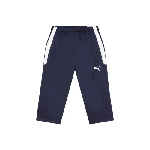 PUMA The Fairgrounds Resort Sports Shorts Unisex Blue