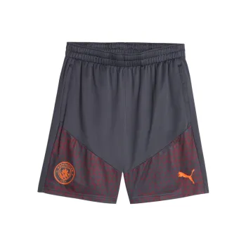 PUMA Manchester City Soccer Bottoms Men Dense Gray