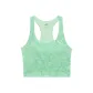 Fresh Mint