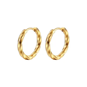 KiNGZiT Titanium Steel Earrings Unisex