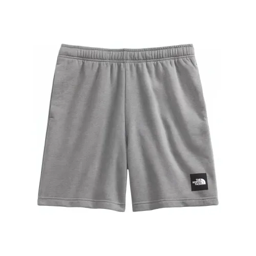THE NORTH FACE Men's Never Stop Shorts Casual Shorts Men's Gray
