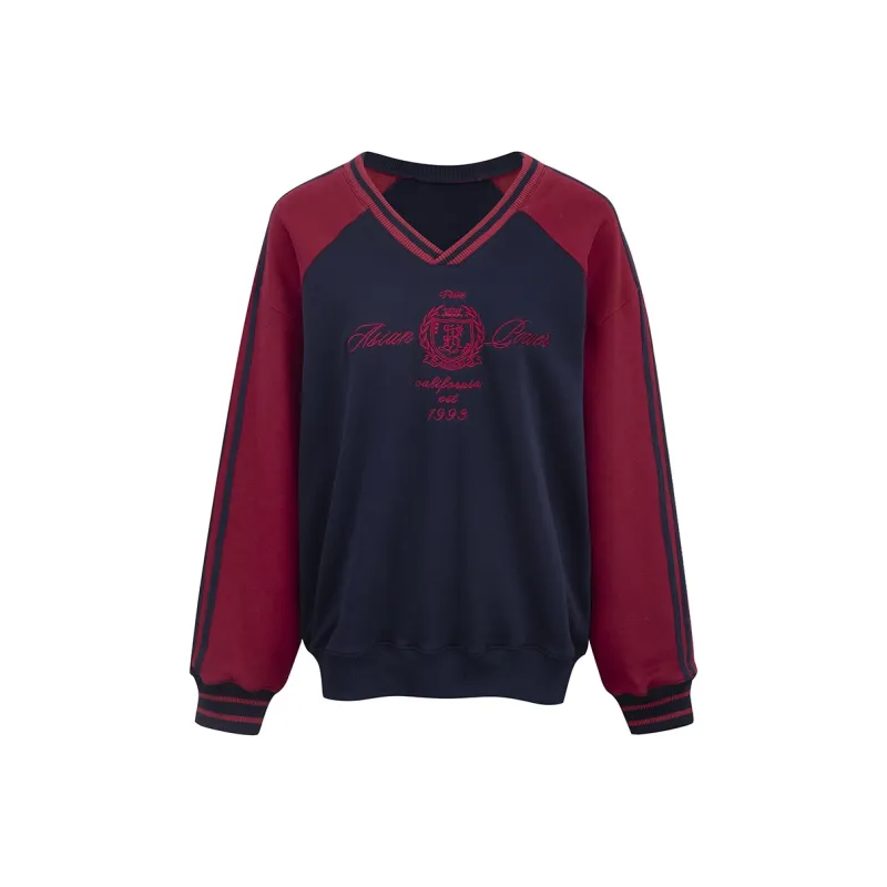 Ariseism Regular Color Block V Neck Jersey Style Long Sleeved T Shirt, Fall Upper Width Loose Fit Women's-2
