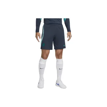 Nike Sports Shorts Men Thunder Blue