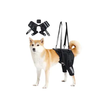 A good thing Pet Clothing