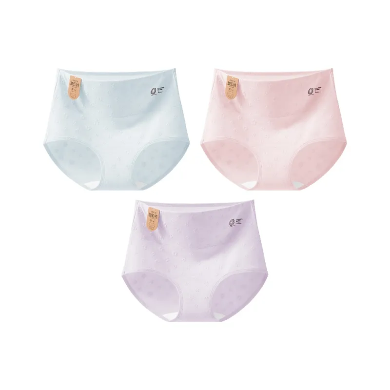 2323 Women's Underpants-4