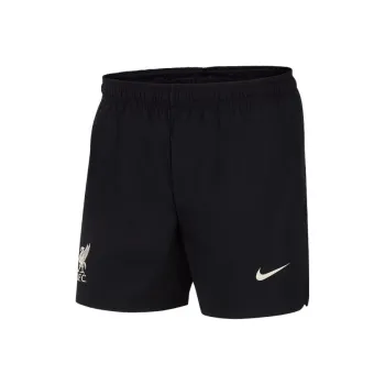Nike Sports Shorts Men Black/Fossil Gray