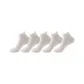 5-Pack[5 White]