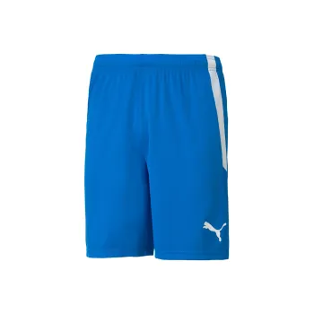 PUMA Fit Sports Shorts Men Electric Blue