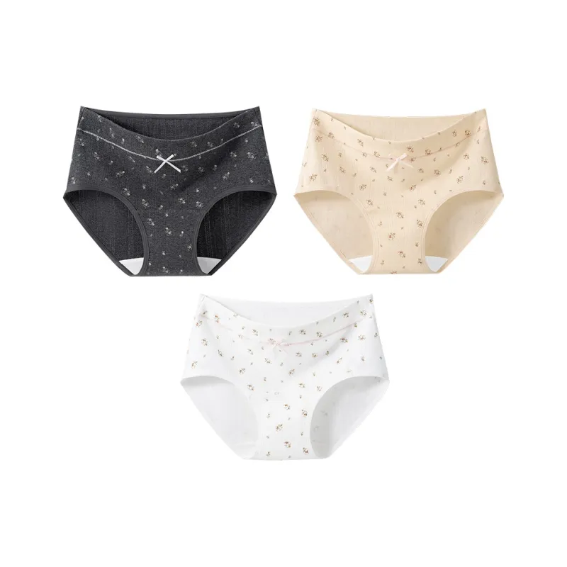 2323 Underpants Women's Combo Set-5