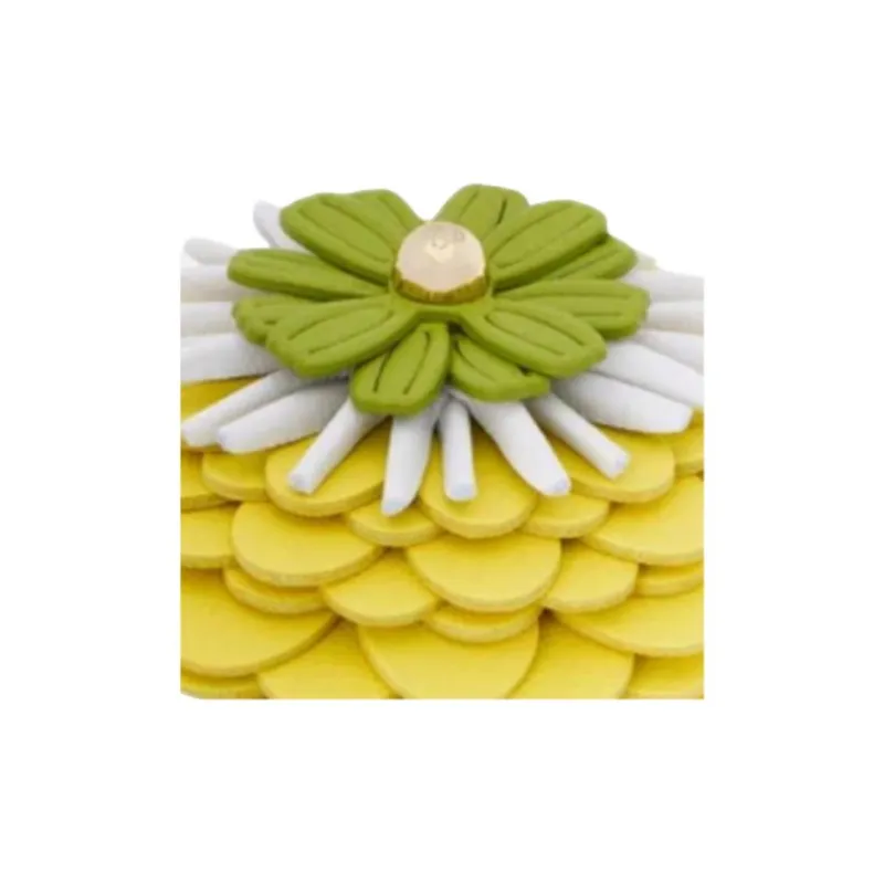LOEWE Calfskin Bag Accessory Women's Yellow-3
