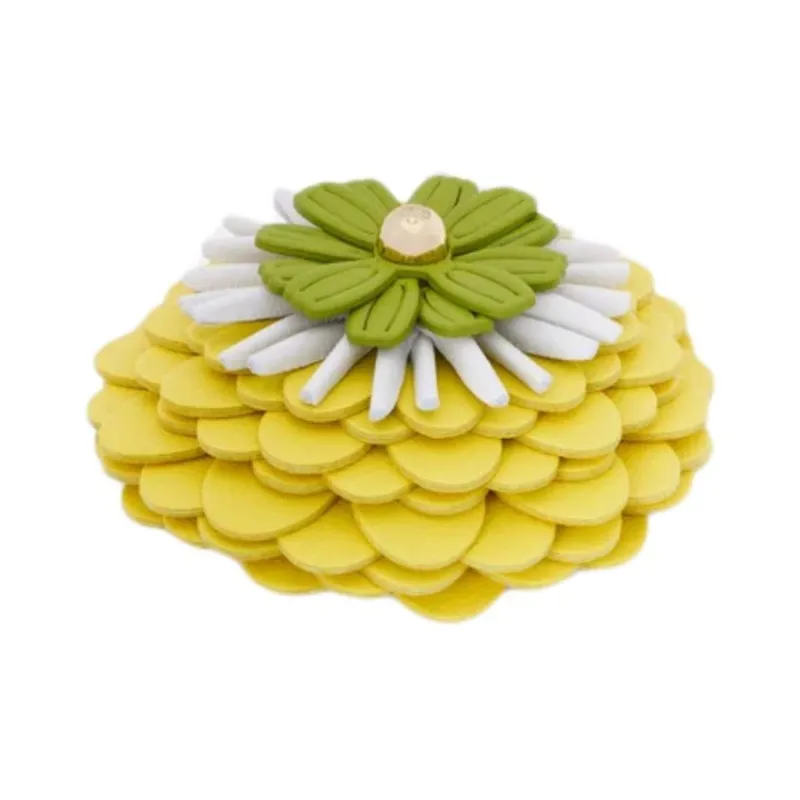 LOEWE Calfskin Bag Accessory Women's Yellow-1