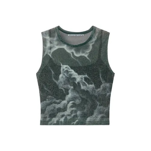 Alexander Wang Sheer Crop Top