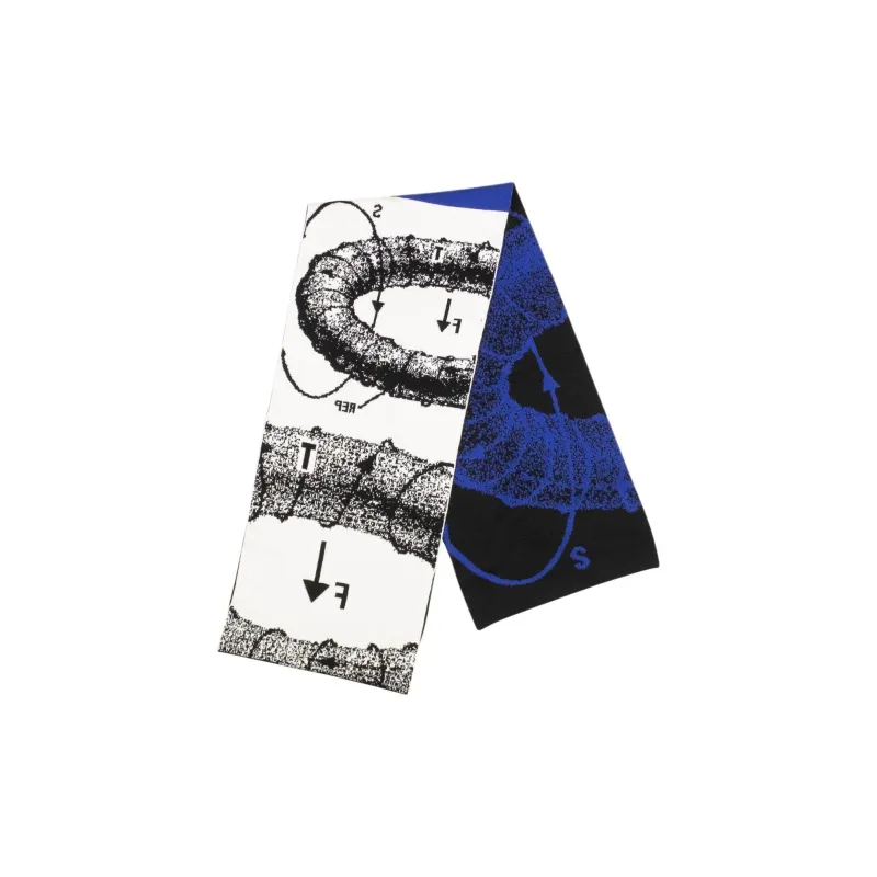 MSFTSrep Viscose, Polyester, Polyamide Knit Scarves Unisex Blue-1
