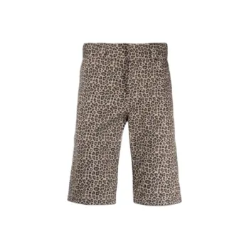 Dickies Casual Shorts Men's Brown