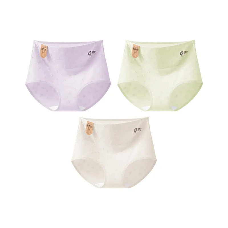 2323 Women's Underpants-5