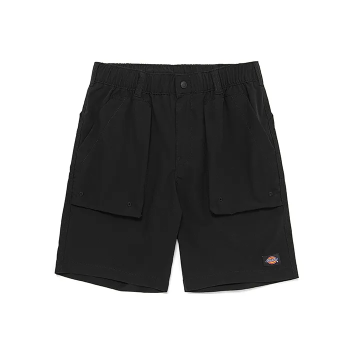 Dickies SS22 Casual Shorts Men's-0