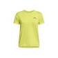 Gray Yellow
