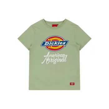 Dickies SS21 T Shirt Women's Gray Green