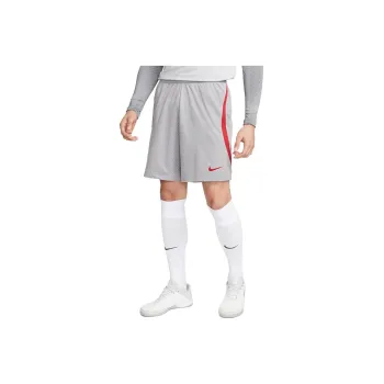 Nike Sports Shorts Men Gray