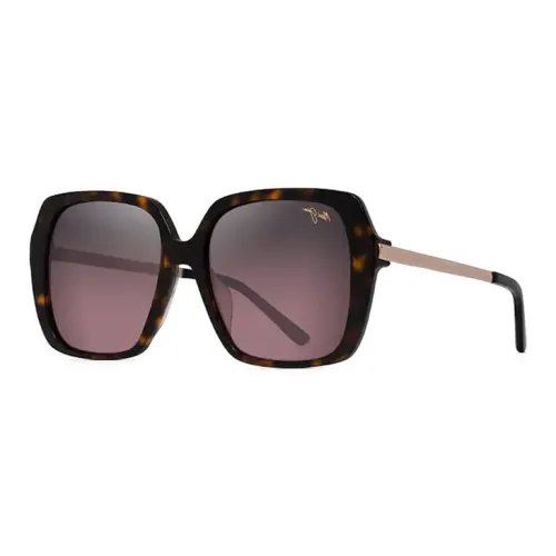 Silber Jim Acetate Square sunglasses EYEWEAR Unisex Brown