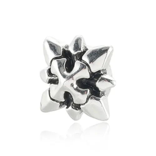 ZANC Alloy Clip On Earrings Unisex