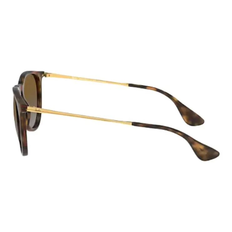 RayBan Erika Sunglasses-2