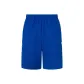 Collegiate Blue