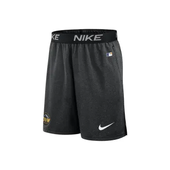 Nike Seattle Mariners City Connect Practice Men's Nike Dri FIT Mlb Shorts