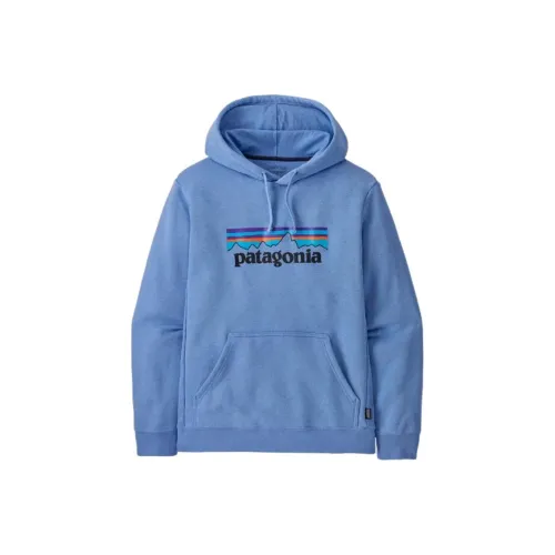 Patagonia Logo print Hoodie