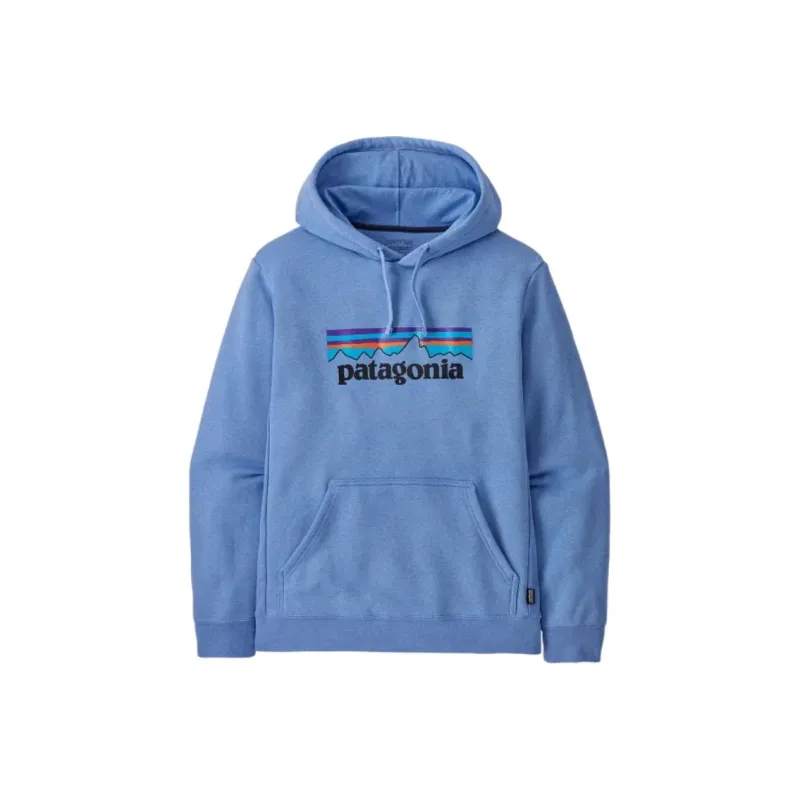 Patagonia Logo print Hoodie-0