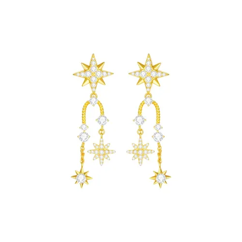 DESIGN CIRCLES S925 Silver Earrings Women's