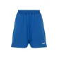 Cobalt Blue