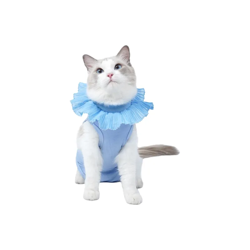 A good thing Pet Clothing-1