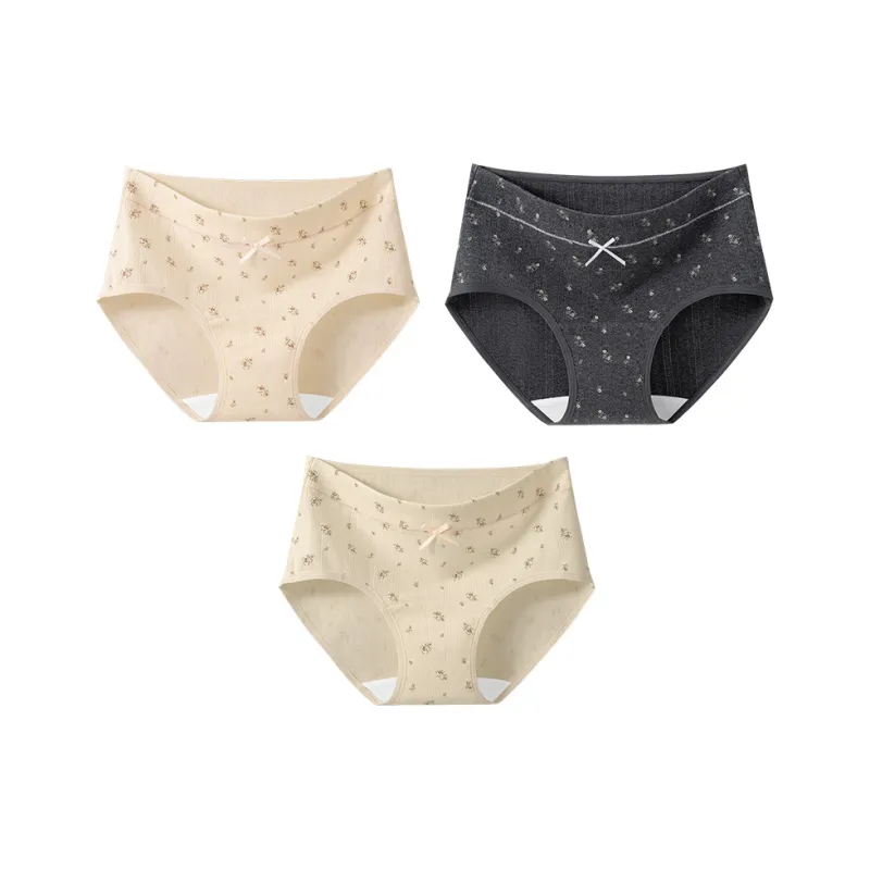 2323 Underpants Women's Combo Set-9