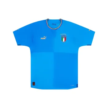PUMA Soccer Jerseys Men Blue