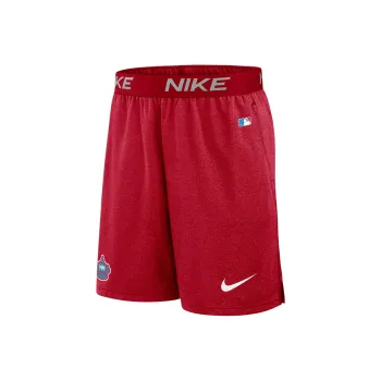 Nike Miami Marlins City Connect Practice Men's Nike Dri FIT Mlb Shorts