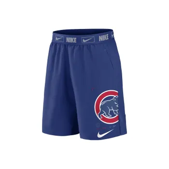 Nike Sports Shorts Men Blue