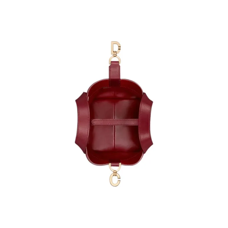 DIOR Toujours Calfskin Tote Bag, Shopping Bag, Shoulder Bag, Handbag Nano Women's Burgundy-4