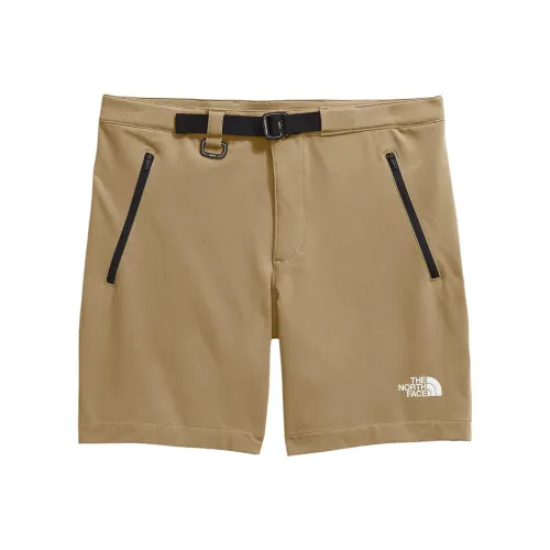 THE NORTH FACE Men's Paramount Pro Shorts Casual Shorts Men's office-accessories