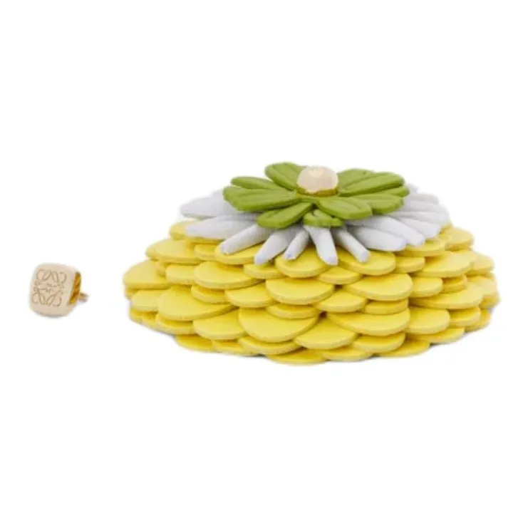 LOEWE Calfskin Bag Accessory Women's Yellow-2