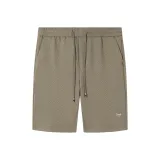 Gray Green