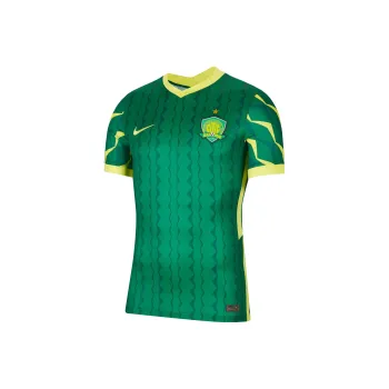 Nike Soccer Jerseys Men Pine Green/Sonic Yellow