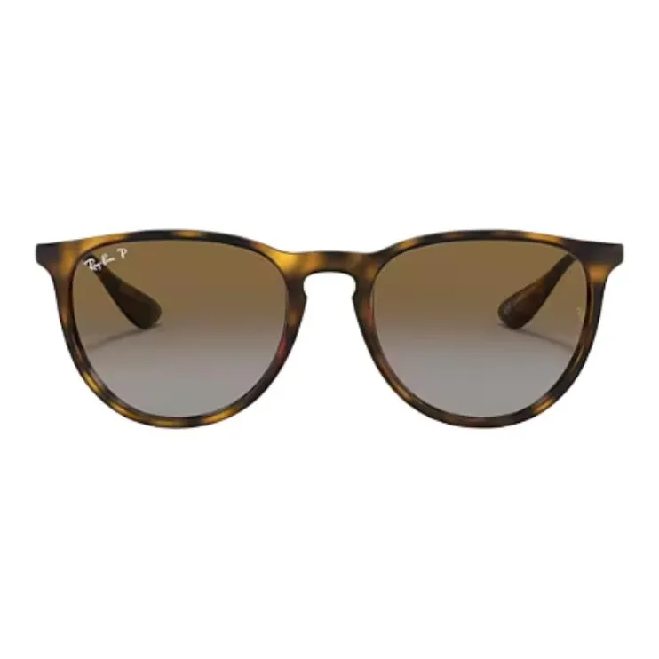 RayBan Erika Sunglasses-1