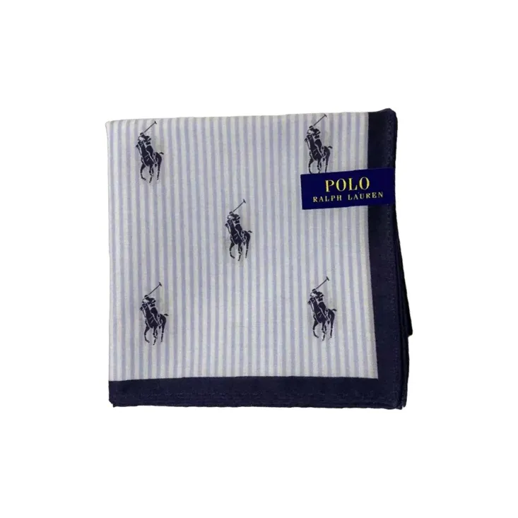 Polo Ralph Lauren Silk Scarves Unisex Light Blue-0