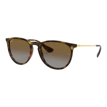 RayBan Erika Sunglasses