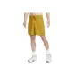 Earth Yellow