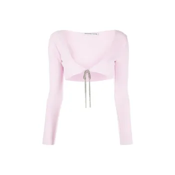 Alexander Wang Cropped Crystal tie Cardigan